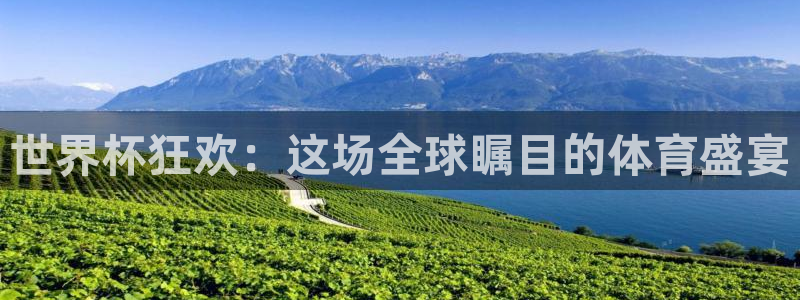 世界杯预选赛赛程表：世界杯狂欢：这场全球瞩目的体育盛宴
