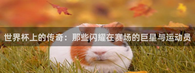 世界杯转播表：世界杯上的传奇：那些闪耀在赛场的巨星与运动员