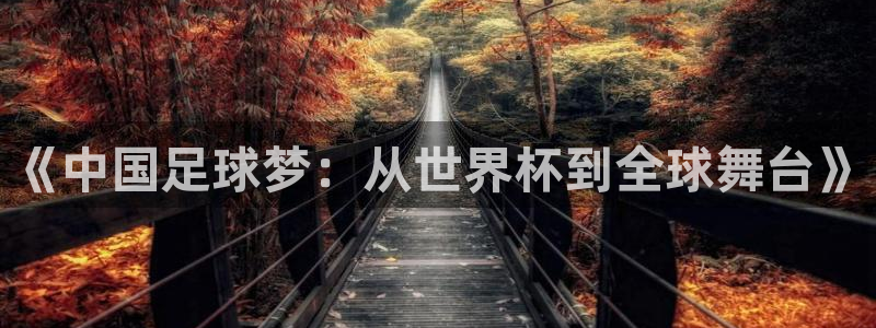 世界杯直播在线观看入口：《中国足球梦：从世界杯到全球舞台》