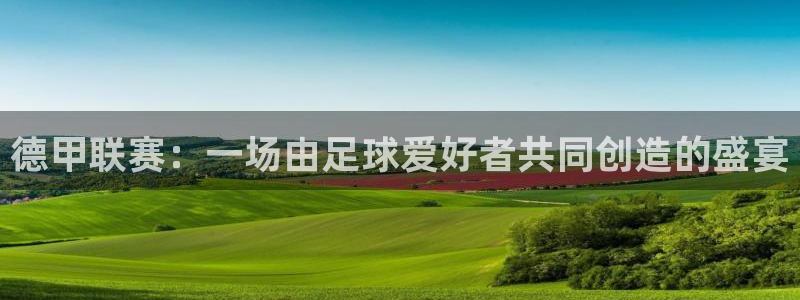 世界杯直播网：德甲联赛：一场由足球爱好者共同创造的盛宴