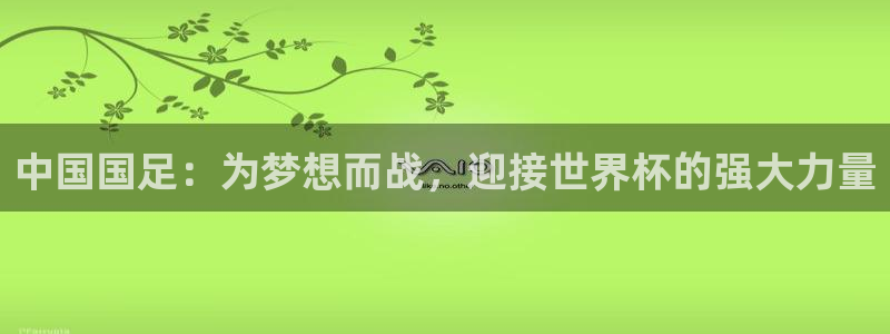 世界杯欧洲区预选赛：中国国足：为梦想而战，迎接世界杯的强大力量