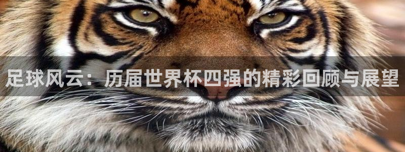 世界杯2026赛程：足球风云：历届世界杯四强的精彩回顾与展望