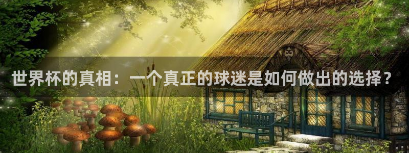 世界杯今日赛程直播：世界杯的真相：一个真正的球迷是如何做出的选择？