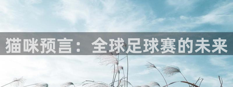 足球杯：猫咪预言：全球足球赛的未来