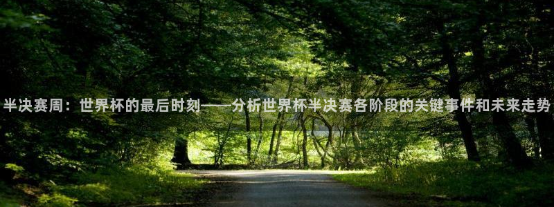 世界杯女足直播：半决赛周：世界杯的最后时刻——分析世界杯半决赛各阶段的关键事件和未来走势
