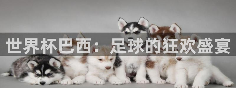 世界杯比赛赛程：世界杯巴西：足球的狂欢盛宴