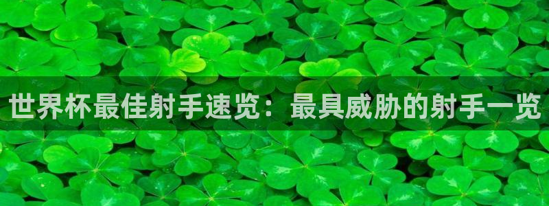 世界杯预选赛赛程表：世界杯最佳射手速览：最具威胁的射手一览